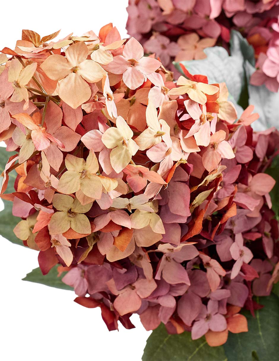 Hortensia decora oversized hydrangea cone stem 2