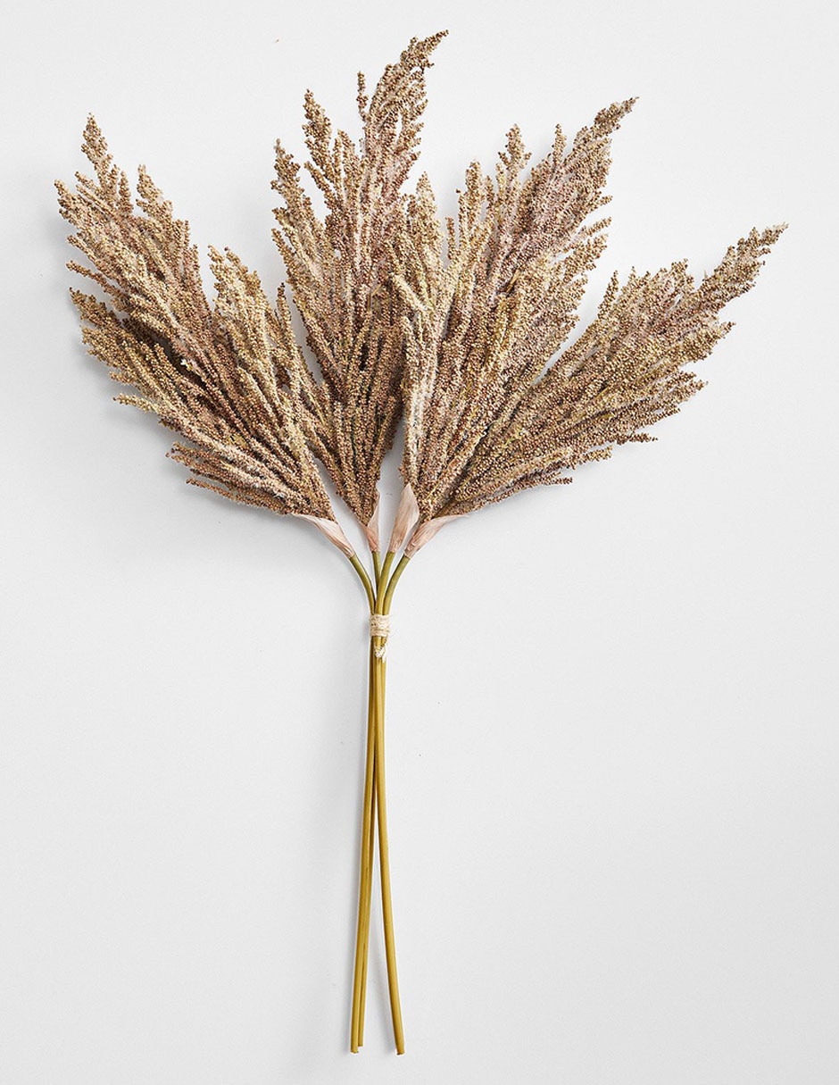 Ramo de pampa decorativos dry grass bundle 1