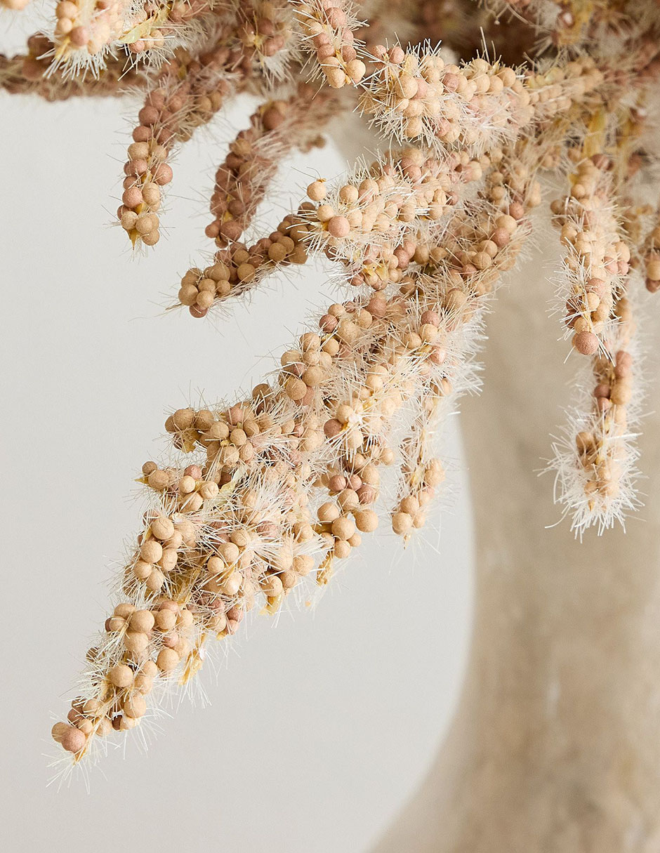 Ramo de pampa decorativos dry grass bundle