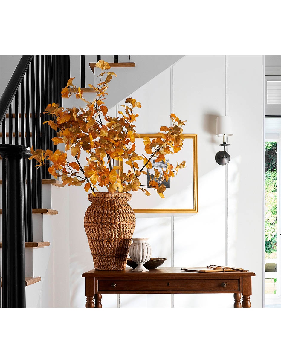 Ginkgo biloba decorativa 4