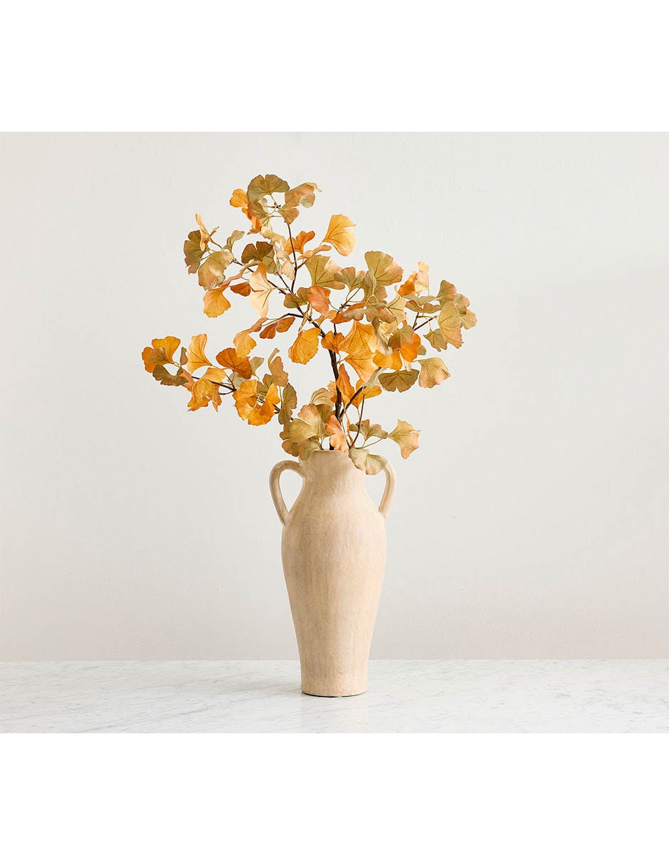 Ginkgo biloba decorativa 3