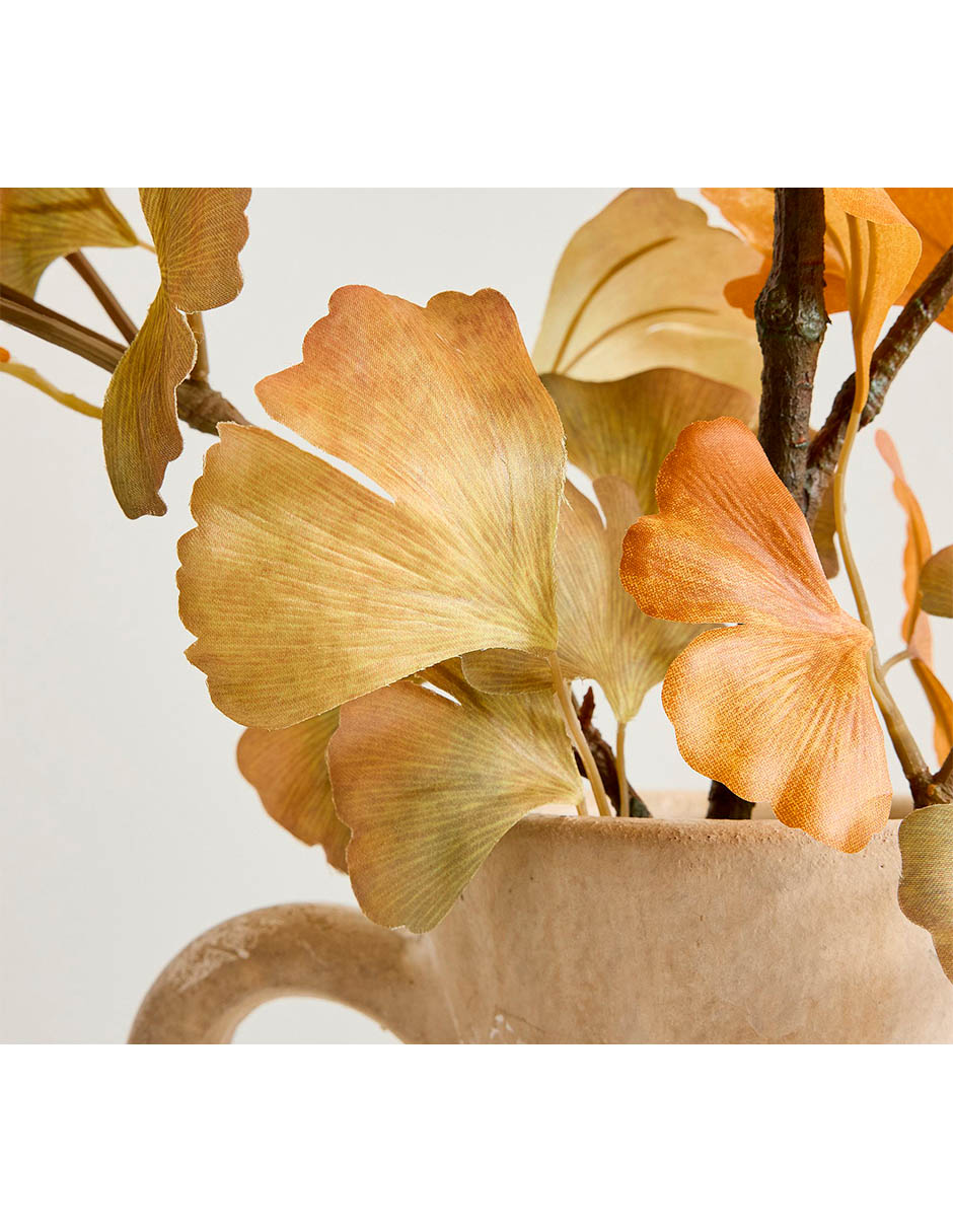 Ginkgo biloba decorativa 2