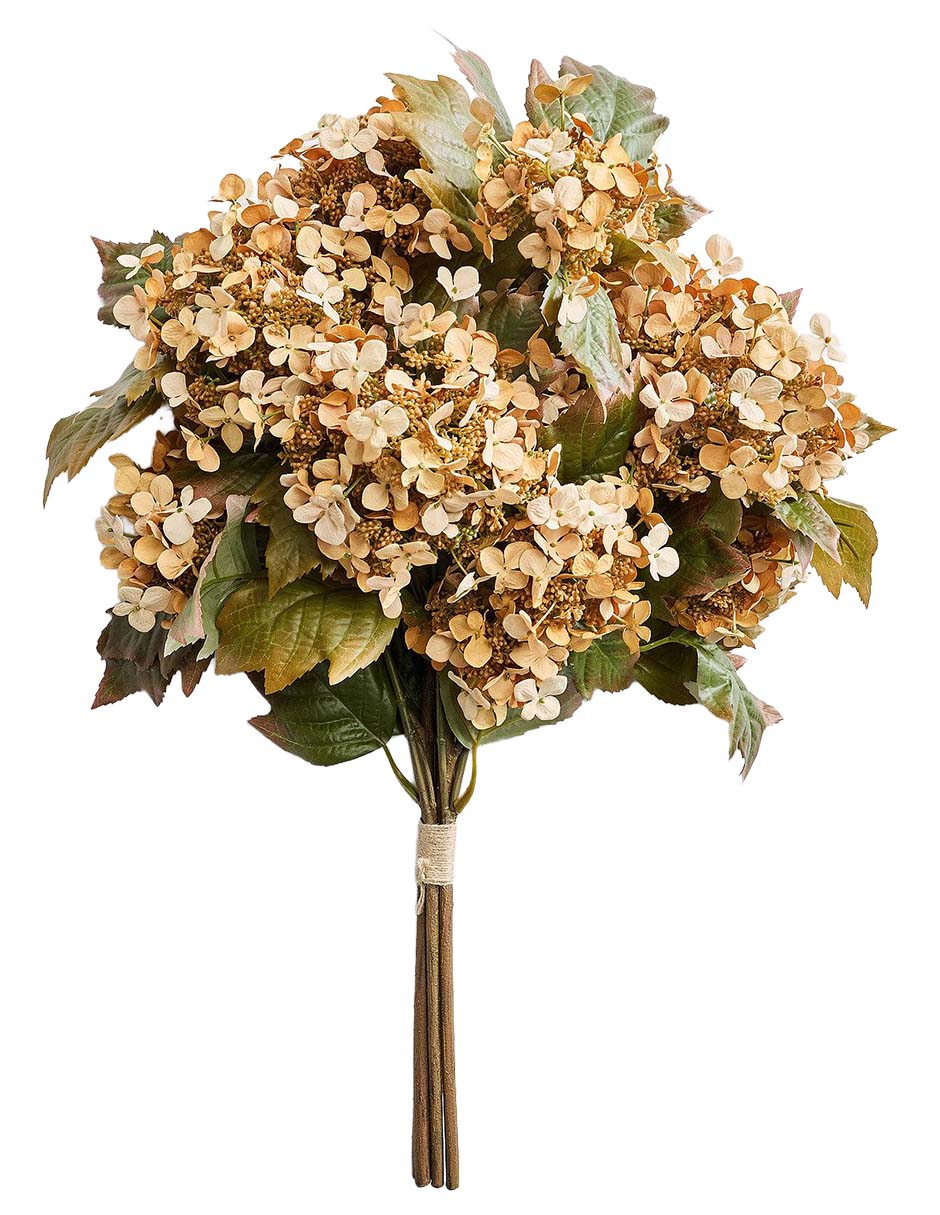 Ramo de hortencia oak leaf hydrangea bundle