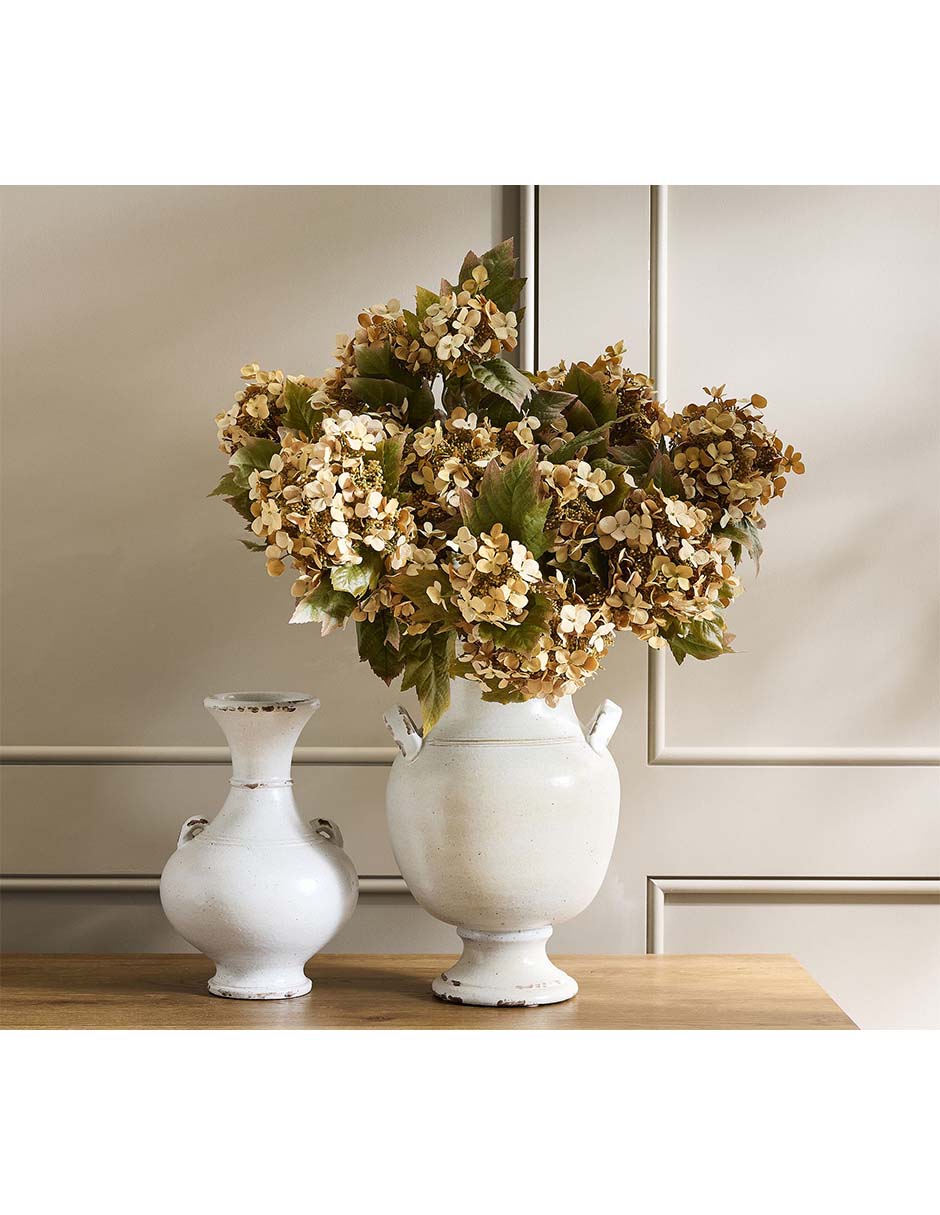 Ramo de hortencia oak leaf hydrangea bundle 2