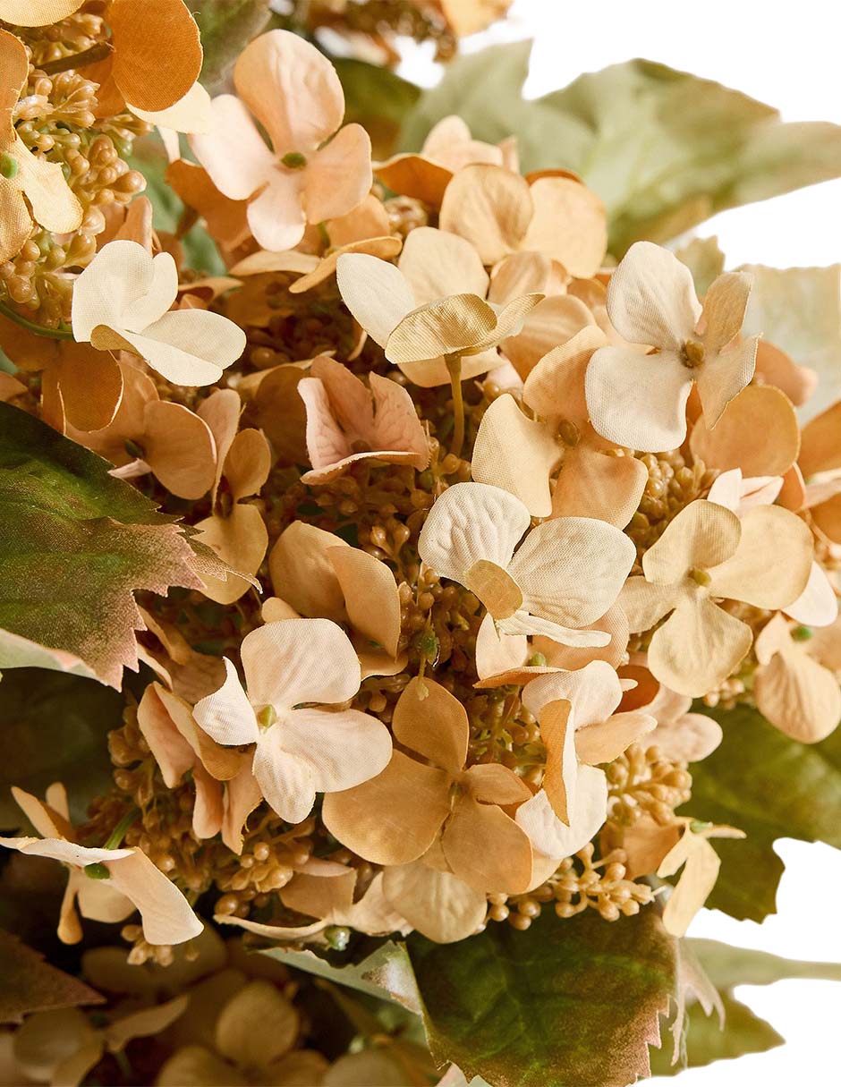 Ramo de hortencia oak leaf hydrangea bundle 3